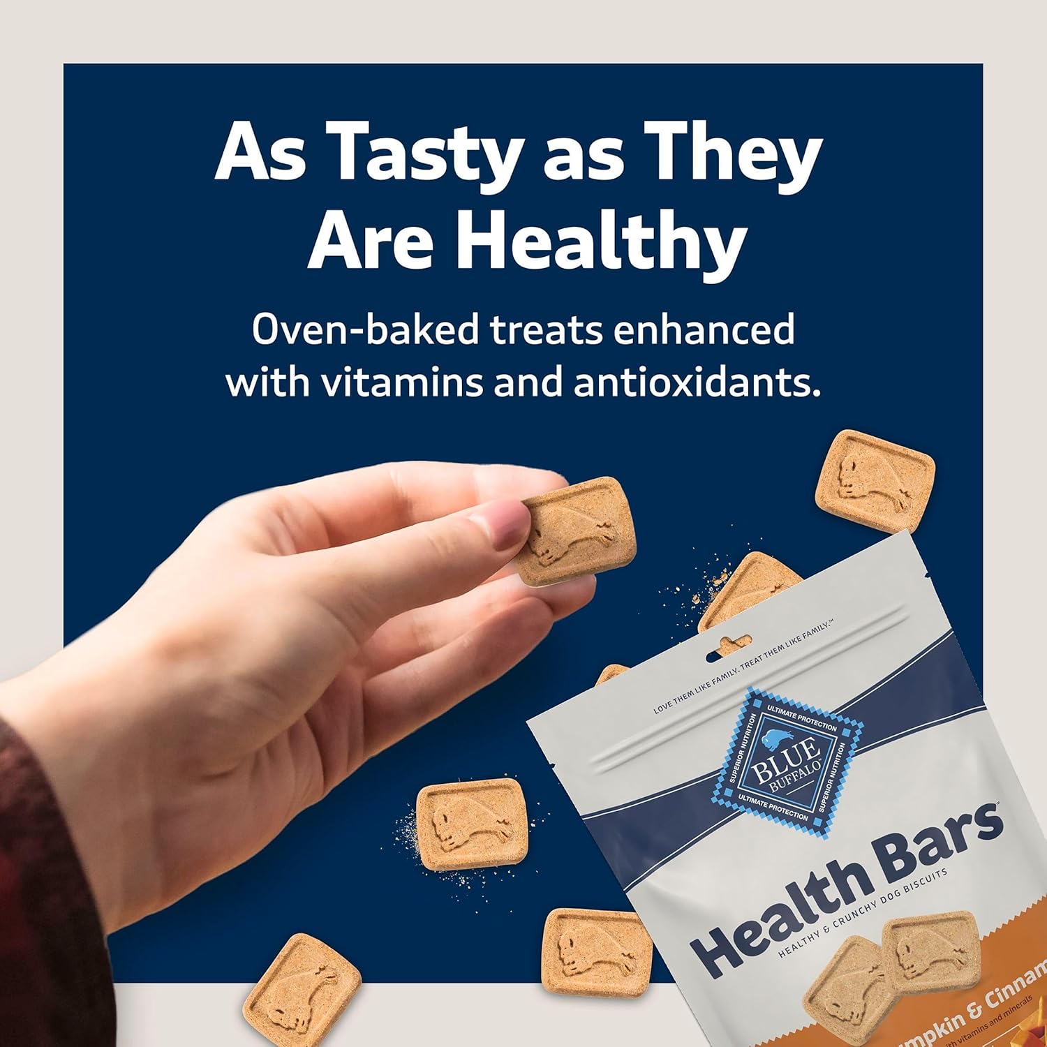 Blue Buffalo Crunchy Dog Biscuits - Oven-Baked Health Bars with Pumpkin & Cinnamon | 16 oz Bag