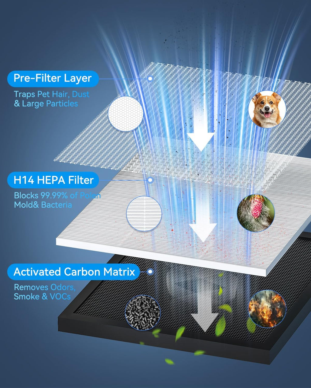 Tailulu HQKJ-180 Air Purifier - Smart Mode with PM2.5 Sensor & 20dB Sleep Mode for Large Rooms Up to 2200ft²