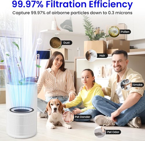LEVOIT Core 300 Replacement Filter - 3-Stage H13 True HEPA for Airborne Substance Removal | White, 1-Pack