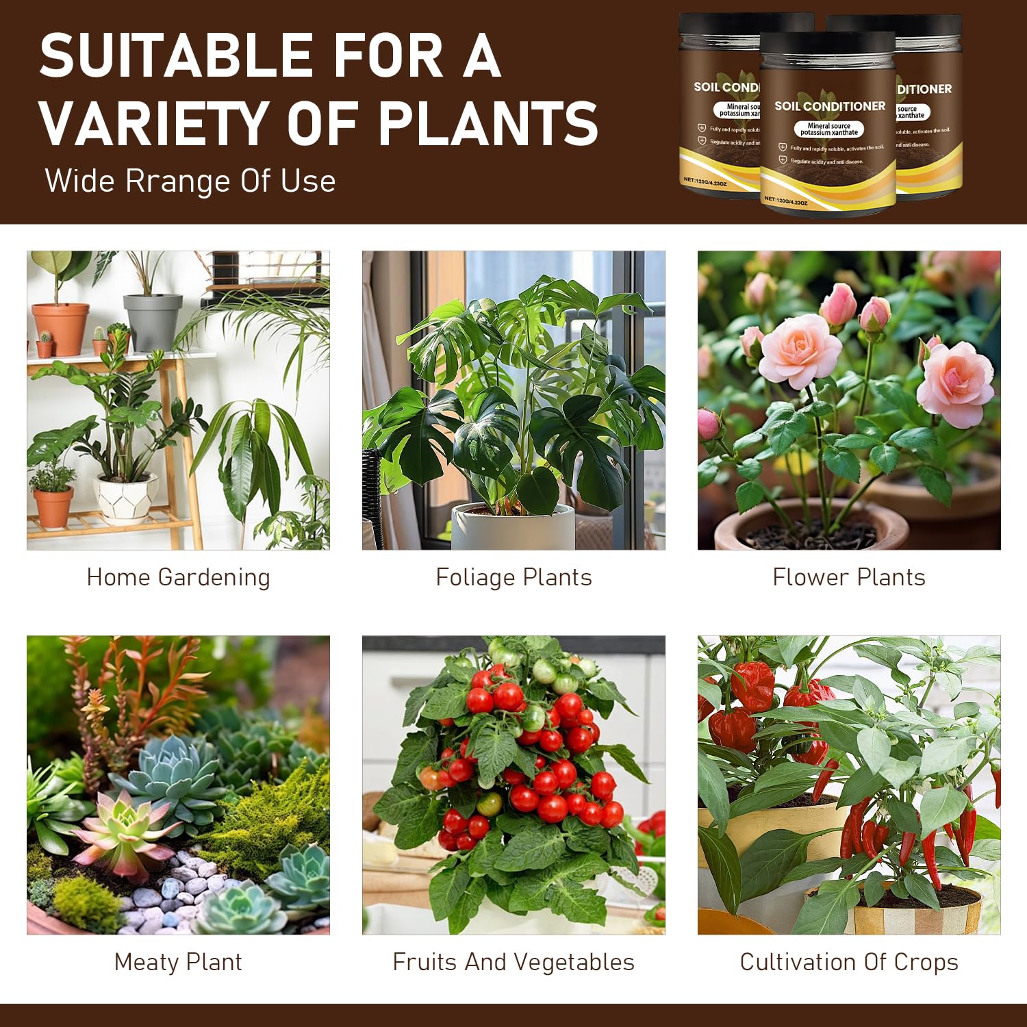 Skiennix Organic Soil Activators - 2Pcs Plant Fertilizers for Healthy Garden Beds | 120G Each