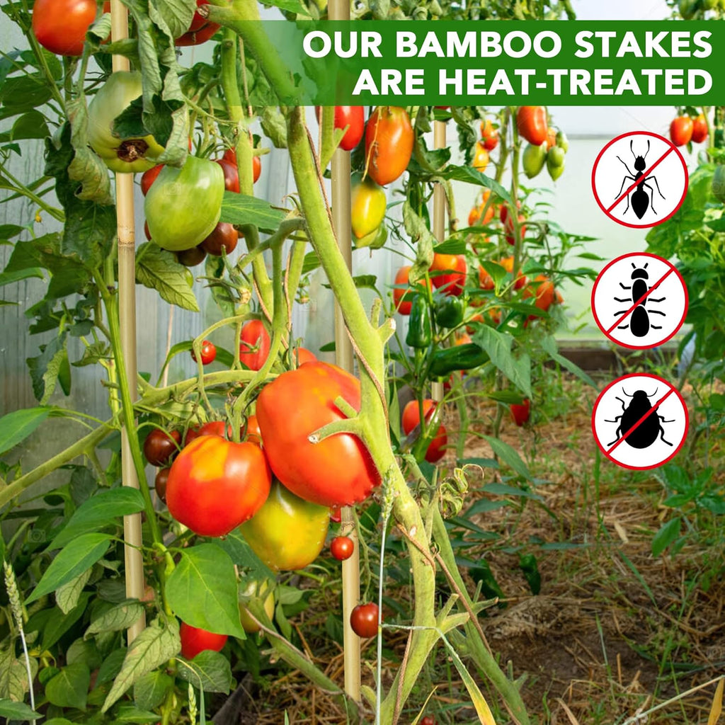 Bamboo Garden Stakes - 70 Pcs Natural 5 Feet Plant Support Sticks for Tomatoes, Beans & Climbing Plants