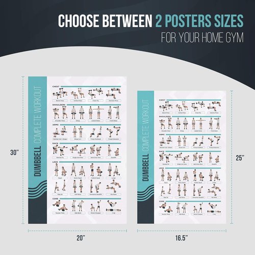 FitMate Dumbbell Workout Poster - Free Weights Exercise Routine Guide for Home Gym (16.5 x 25 Inch)