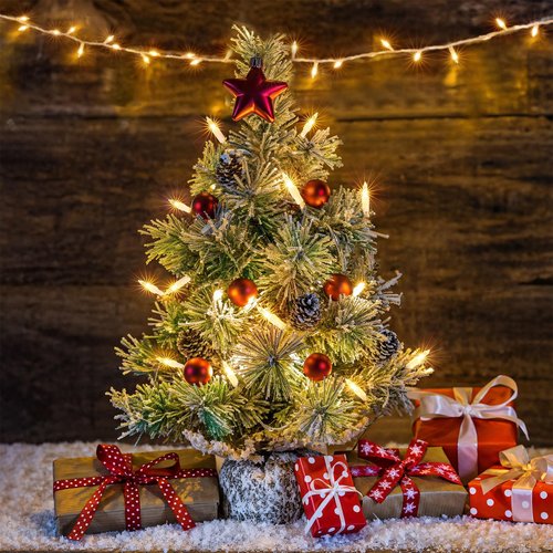 chatool Christmas Lights,100 Count Warm White Lights with White Wire,21ft UL Certified Tree String Lights for Indoor Outdoor Christmas Decoration,Home Garden,Party Decorations