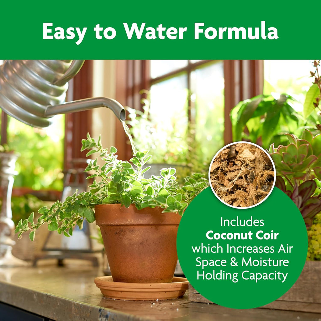 Miracle-Gro Indoor Potting Mix - Perfect Blend for Houseplants | Feeds for 6 Months, 6 qt., 2-Pack