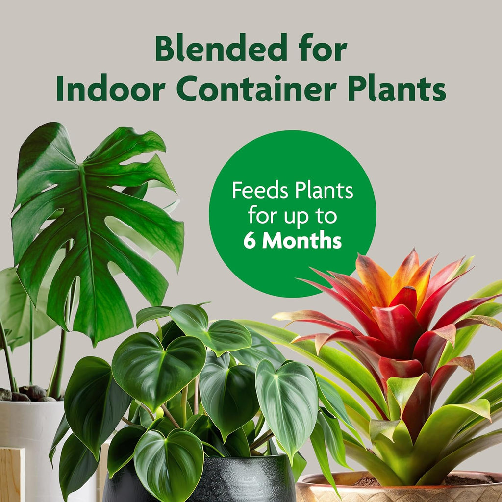 Miracle-Gro Indoor Potting Mix - Perfect Blend for Houseplants | Feeds for 6 Months, 6 qt., 2-Pack