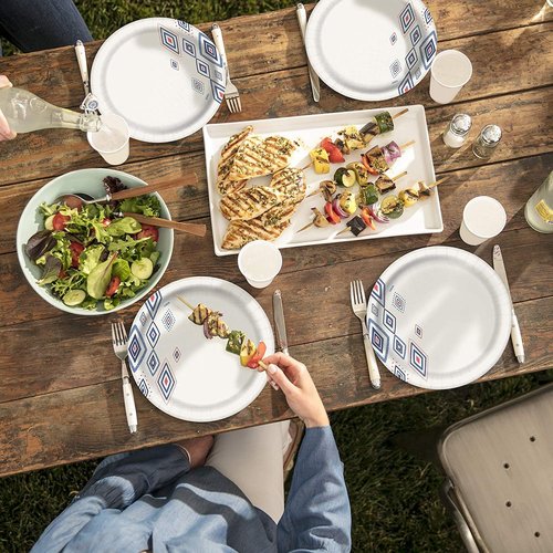 Dixie Disposable Paper Plates - Dinner Size, 10 1/16" | 220 Count in 5 Convenient Packs