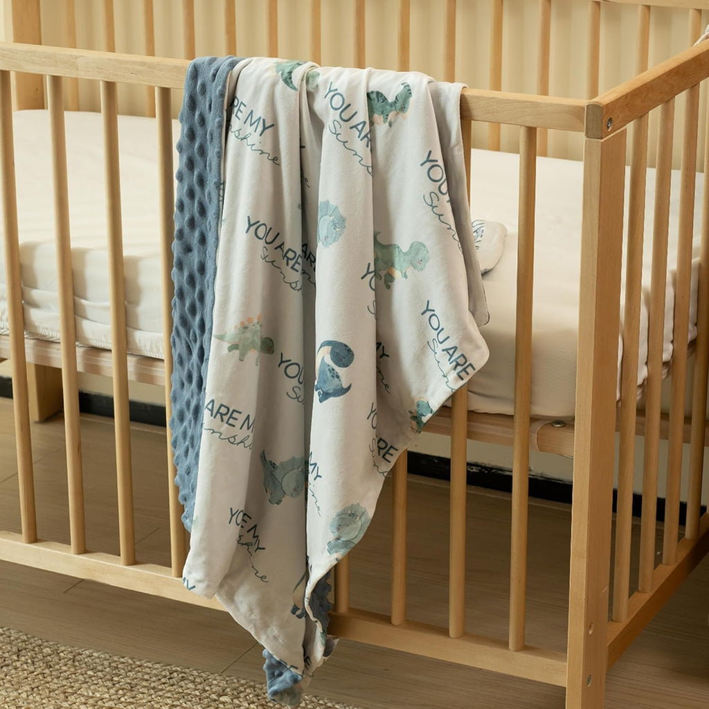 Skiennix Dinosaur Baby Blanket - Super Soft Double Layer Minky Nursery Throw (30" x 40") - Blue