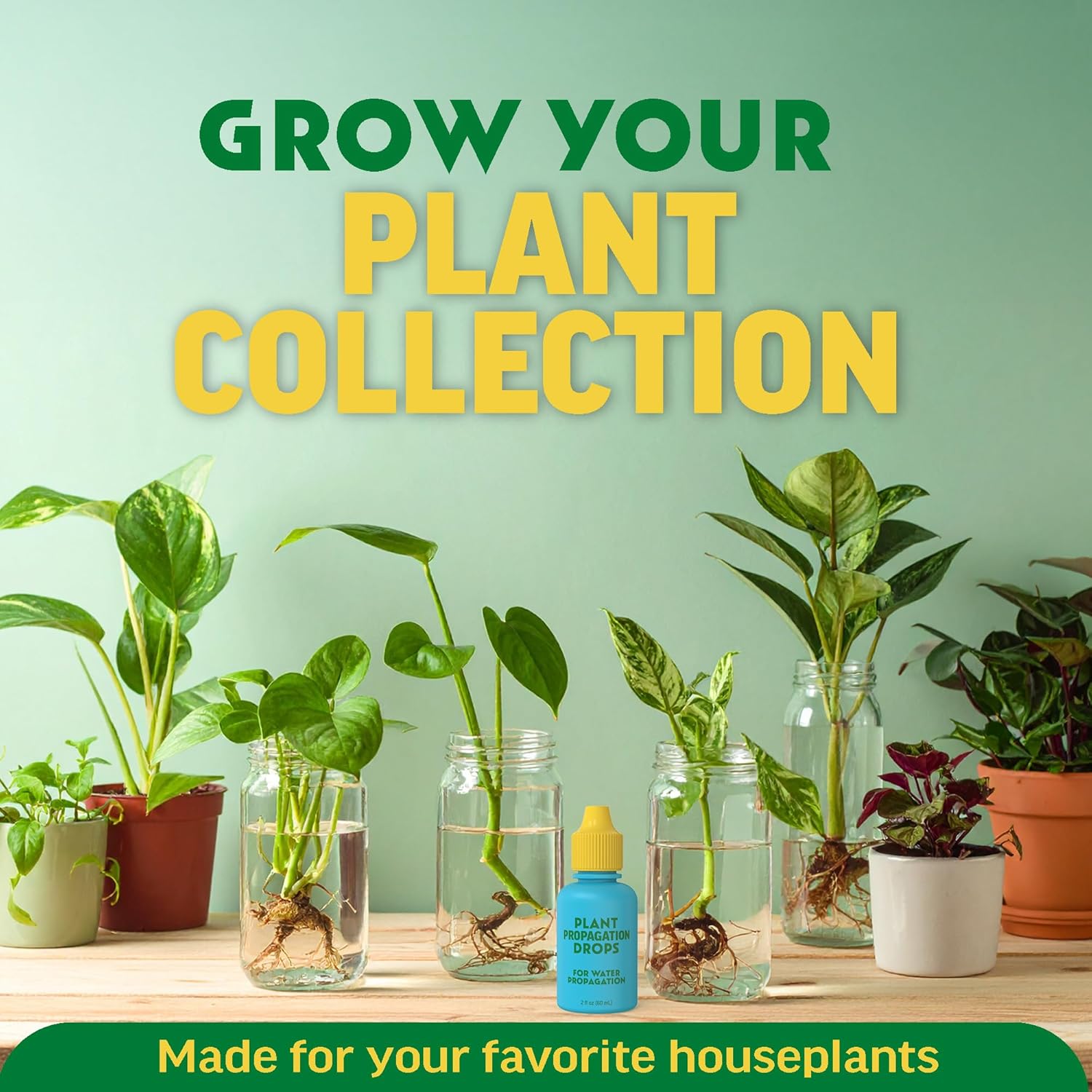 Rooting Drops for Plant Propagation - Faster, Stronger Roots & Less Shock | Supports All Cuttings & Repotting