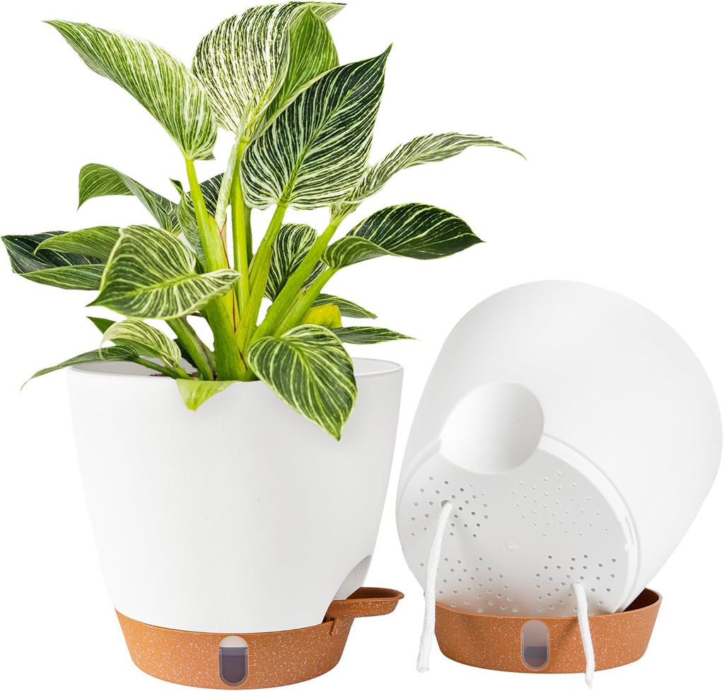 Skiennix 8-Inch Self-Watering Plant Pots - Durable Plastic with Drainage Holes & Water Level Indicator | White (2 Pack)
