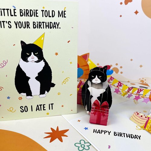 4BO Black Cat Pop-Up Birthday Card - Funny 3D Greeting Card for Cat Lovers | Unique Gift for All Ages