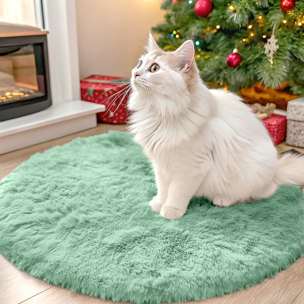 OLANLY Round Mint Green Area Rug - Soft, Fluffy, Machine Washable 2 ft Circle Carpet for Bedroom & Nursery Decor