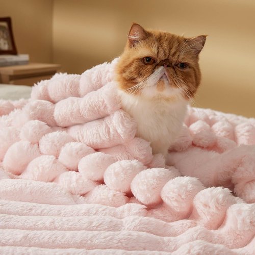 Bedsure Pink Throw Blanket - Fluffy 350GSM Cozy Plush Fleece for Women | 50x60 Inches, Cute Striped Design