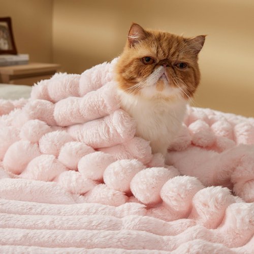 Bedsure Fleece Blanket Queen Blanket&Blankets Queen Size for Bed, Pink, 90x90 Inches