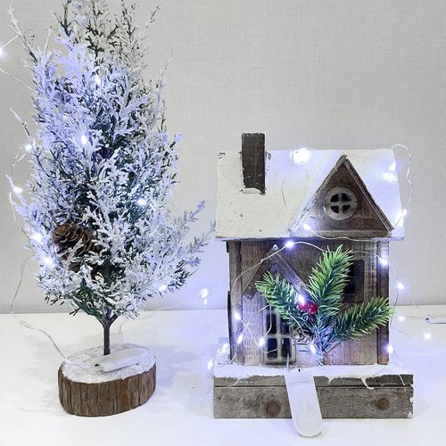 Etinga 20 Pack Battery Operated Fairy String Lights - 10 LED Cool White on 3.3ft Copper Wire | Perfect for Weddings, Parties, and Decorations