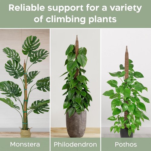 K-Brands 48'' Bendable Moss Pole | Monstera Plant Support - Durable Coconut Palm Fiber - Brown