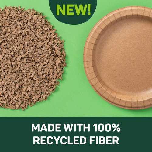 Dixie EcoSmart 100% Recycled Fiber Paper Plates - Large 10" Disposable Plates | 144 Count Pack of 4