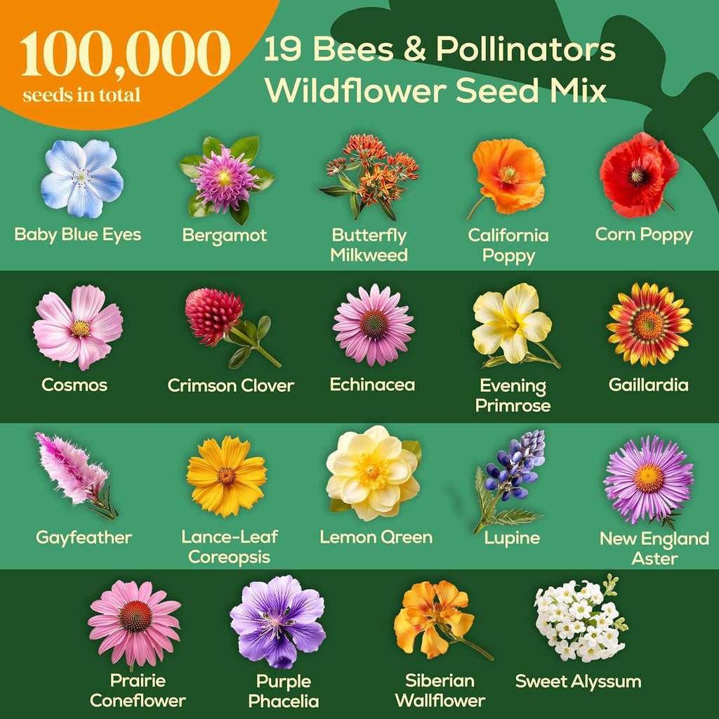 Seedphony Wildflower Seeds Mix - 100,000 Non-GMO Heirloom Seeds for Pollinators | 4oz Waterproof Packet
