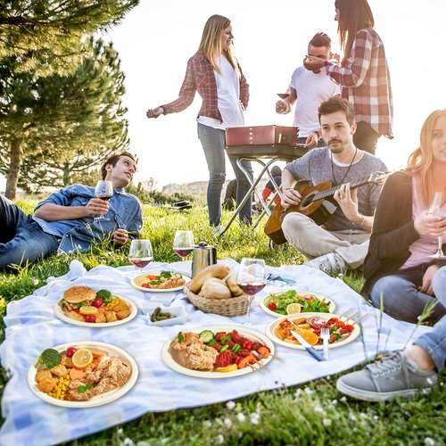 Vplus 300 Pack 100% Compostable Oval Paper Plates 12 inch Super Strong Disposable Paper Plates Bagasse Natural Biodegradable Eco-Friendly Sugarcane for BBQ, Party, Dinner, and Picnic