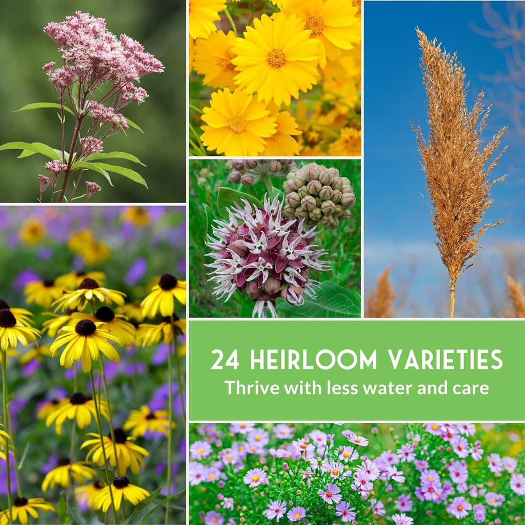 Native Wildflower Seeds | 24 Variety Pack for Butterfly & Bee-Friendly Gardens - Non-GMO Heirloom