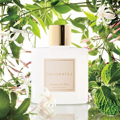 COCORRÍNA Reed Diffuser - Jasmine & Mint 6.7 Fl. Oz Set with Sticks & Preserved Baby's Breath | Home Decor