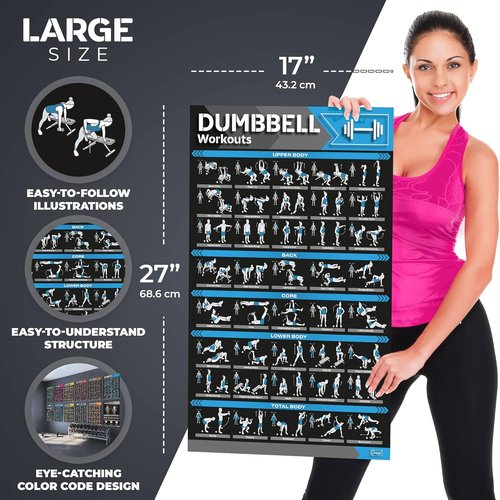 Laminated Large Workout Poster Set by [Brand Name] - Essential Exercise Charts for Home Gym | 12-Pack Fitness Posters