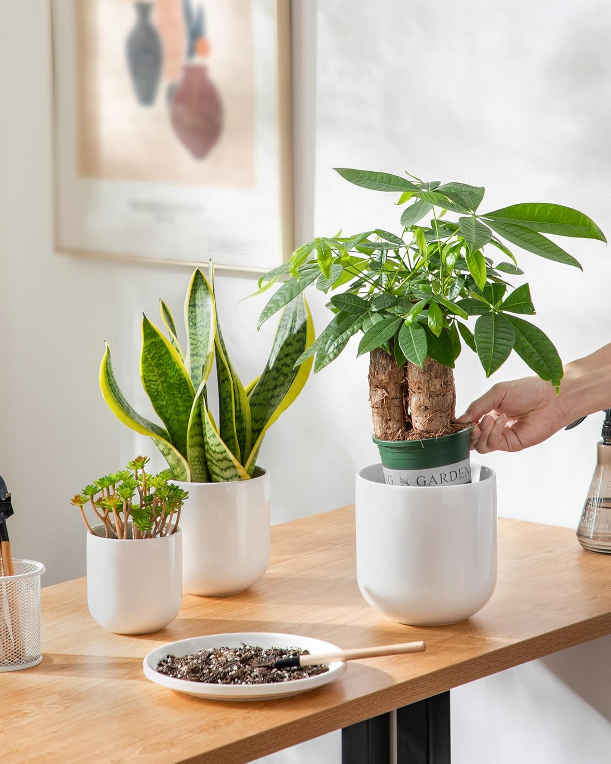 Vancasso Ceramic Plant Pots - Set of 3 (4", 5", 6") | Modern Indoor Planters with Drainage Holes