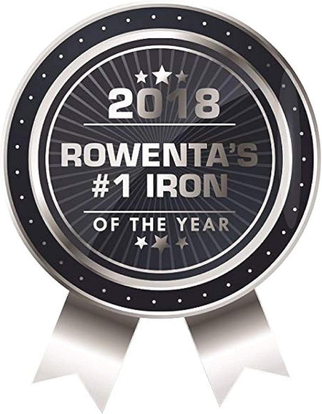 Rowenta Steam Iron - 1700 Watts Portable Iron with Micro Steam Stainless Steel Soleplate | Ideal for Cotton, Wool, Silk, and More