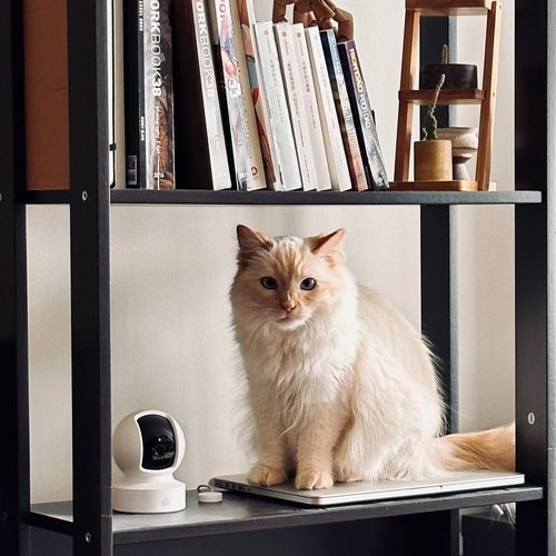 Kasa 1080p Indoor Security Camera - Pan/Tilt Baby & Pet Monitor with Night Vision, 2-Way Audio | EC70