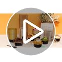 35 Pack Mini Baking Pans with Lids - 5 OZ Black Gold Cake Tins