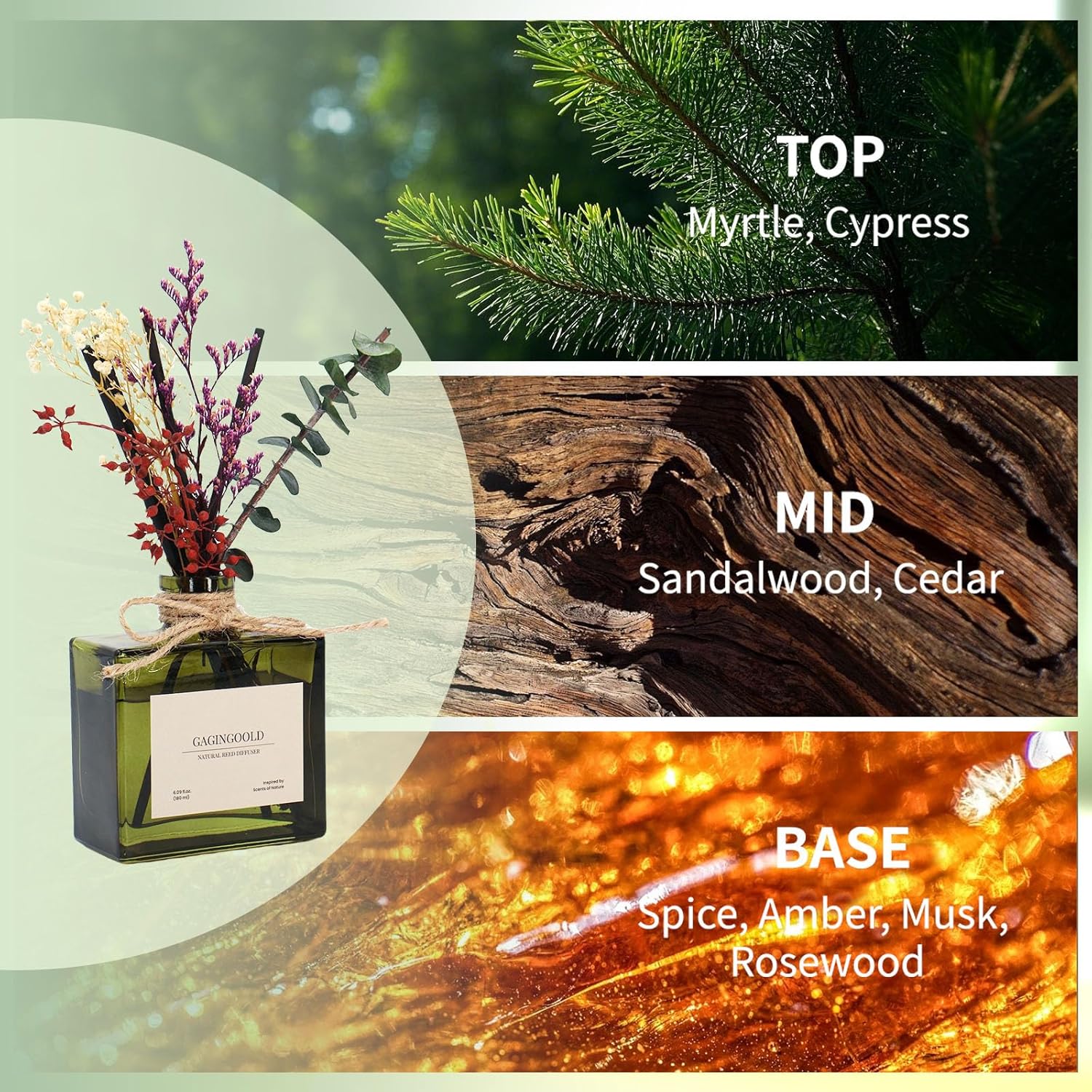 Reed | Earthy Sandalwood Scented Diffuser by [Brand Name] - 6.09 oz Long-Lasting Elegance for Home Decor