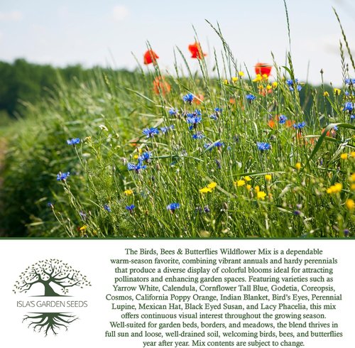 Isla’s Garden Seeds Wildflower Mix - 500+ Non-GMO Heirloom Seeds for Colorful Pollinator Blooms | Perfect for Garden Beds & Meadows