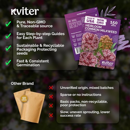 KVITER 150 Common Milkweed Seeds - Pink Perennial Wildflower for Butterflies | Non-GMO Heirloom Garden Seeds