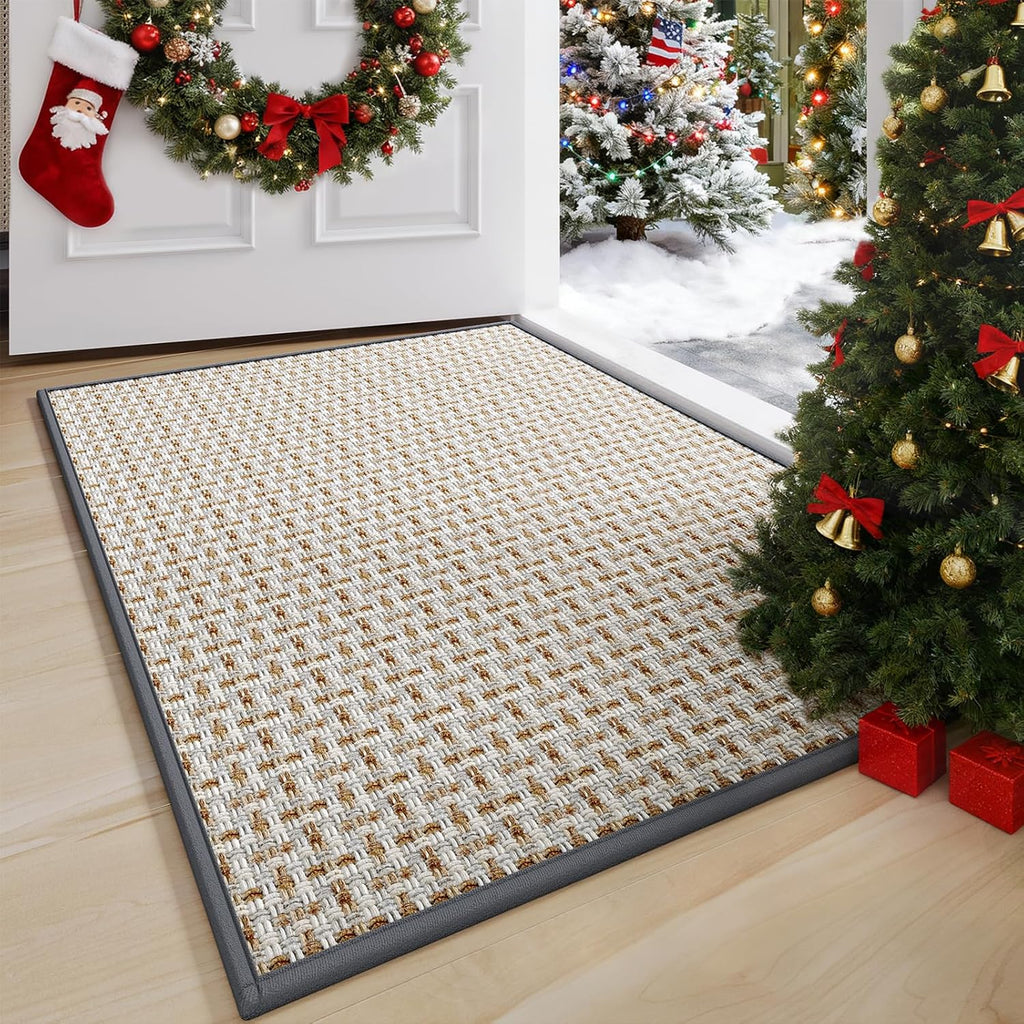 Regine Switzerland Door Mat - Indoor Entrance Dirt Resistant & Absorbent | 17"x30" Gray Non-Slip Design