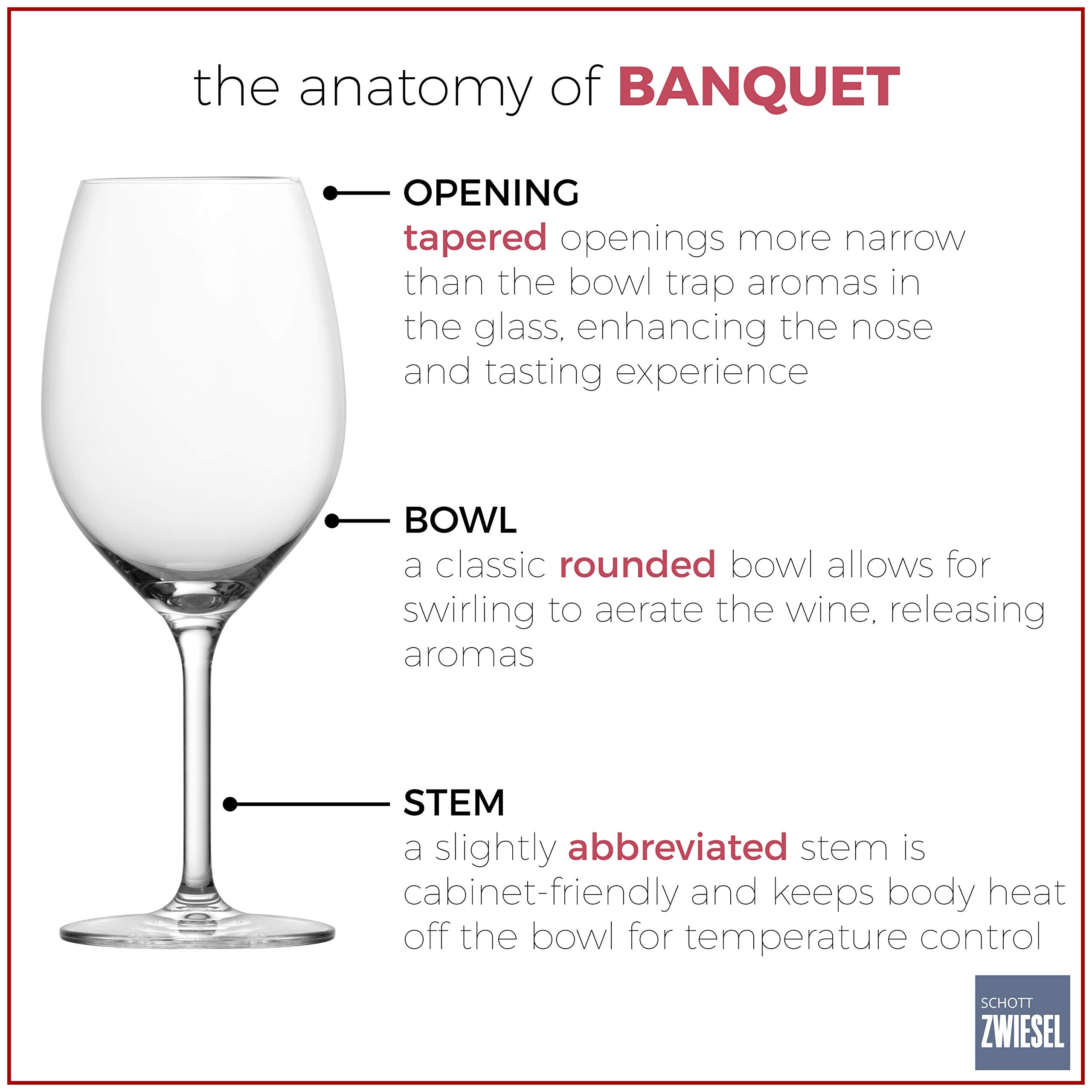 Schott Zwiesel Tritan Crystal Glass Banquet Stemware Collection All Purpose Wine Glass, 8.6 Ounce, Set of 6,