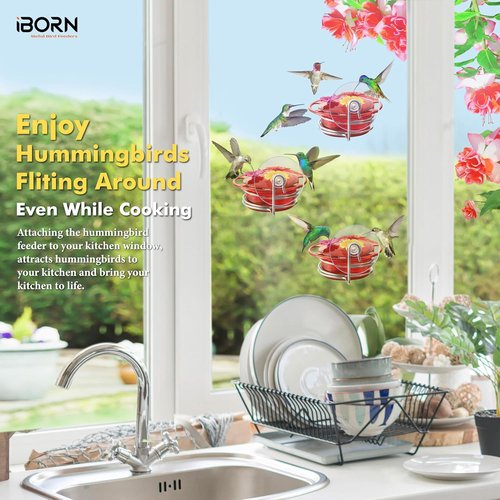 iBorn Mini Hummingbird Feeder - 3OZ Outdoor Feeder with Strong Suction Cup & Stainless Steel Base | 3 Feeding Ports