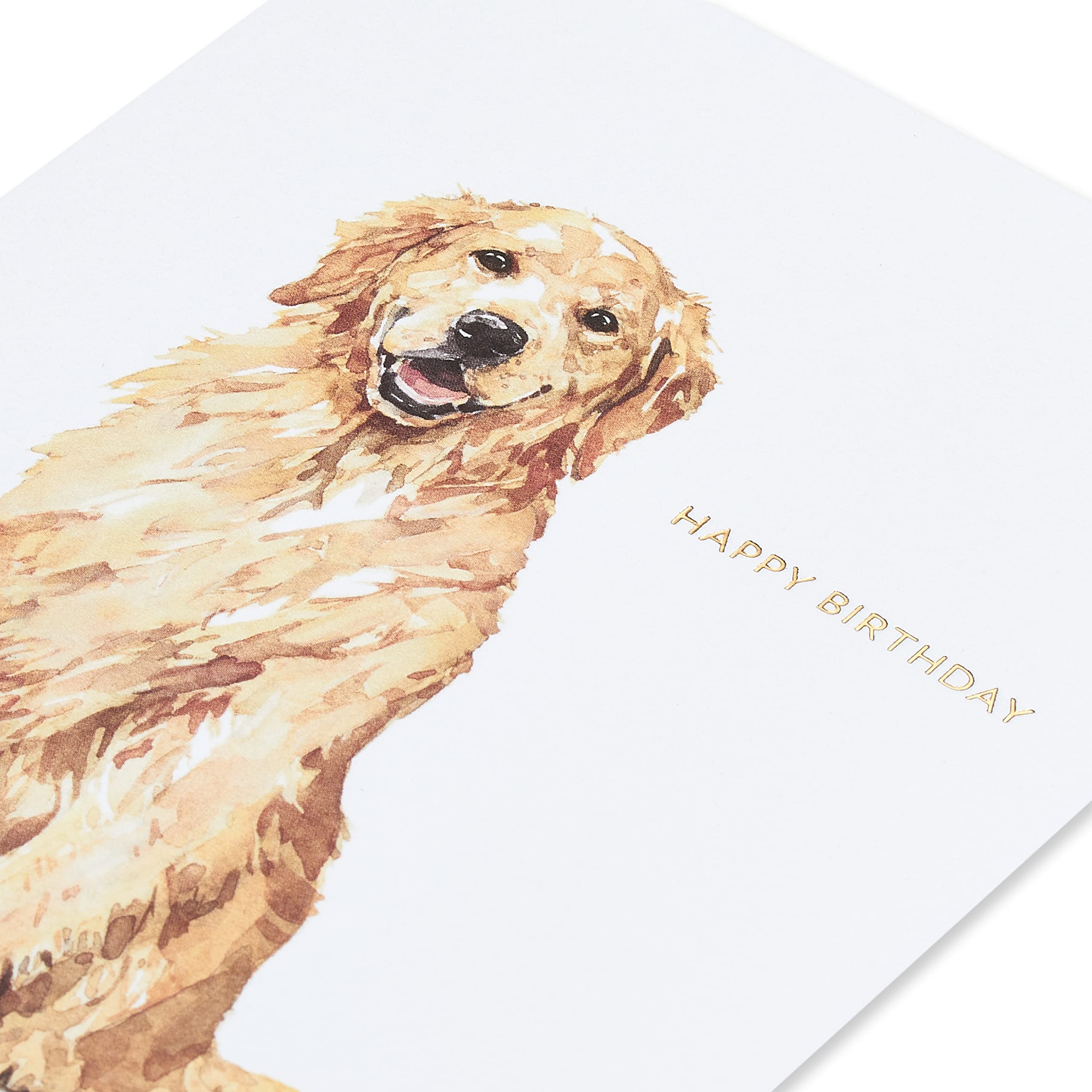 Papyrus Dog Birthday Card (Celebrate and Enjoy) (Pack of 2)