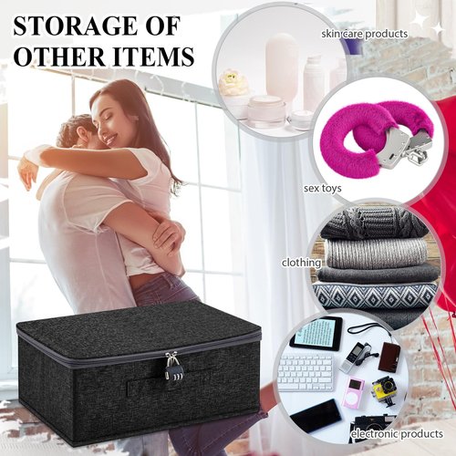 Briwooody Discreet Lockable Toy Bag Storage Organizer Toy Bag Storage Bins Case with Zipper Lid for Women and Men Clothes Container(Black,15 x 10 x 6.3 Inch)