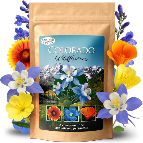 Created By Nature Colorado Wildflower Seed Mix - 14 Flower Varieties | 53,000+ Seeds for Vibrant Gardens