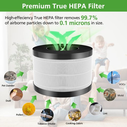 AP01 Filter Only Compatible with Himox AP01(H01) Air Purifi-er, High-Efficiency 3-Stage Filtration for Himox AP01 Replacement Filter, 2 Pack