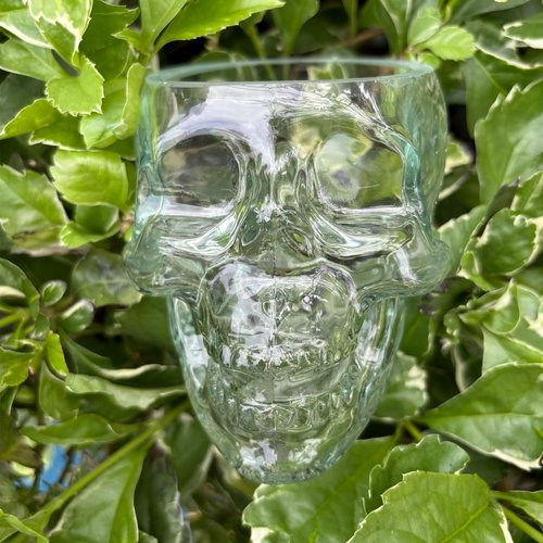 TVIAOH 350ml 6pcs Skull Wine Glass Funny Large Glasses Drinking Glass Vodka Spirits Cup Glass, Halloween Decorations Gifts Halloween Themed Party Holiday Gifts New Skull Cup (6)