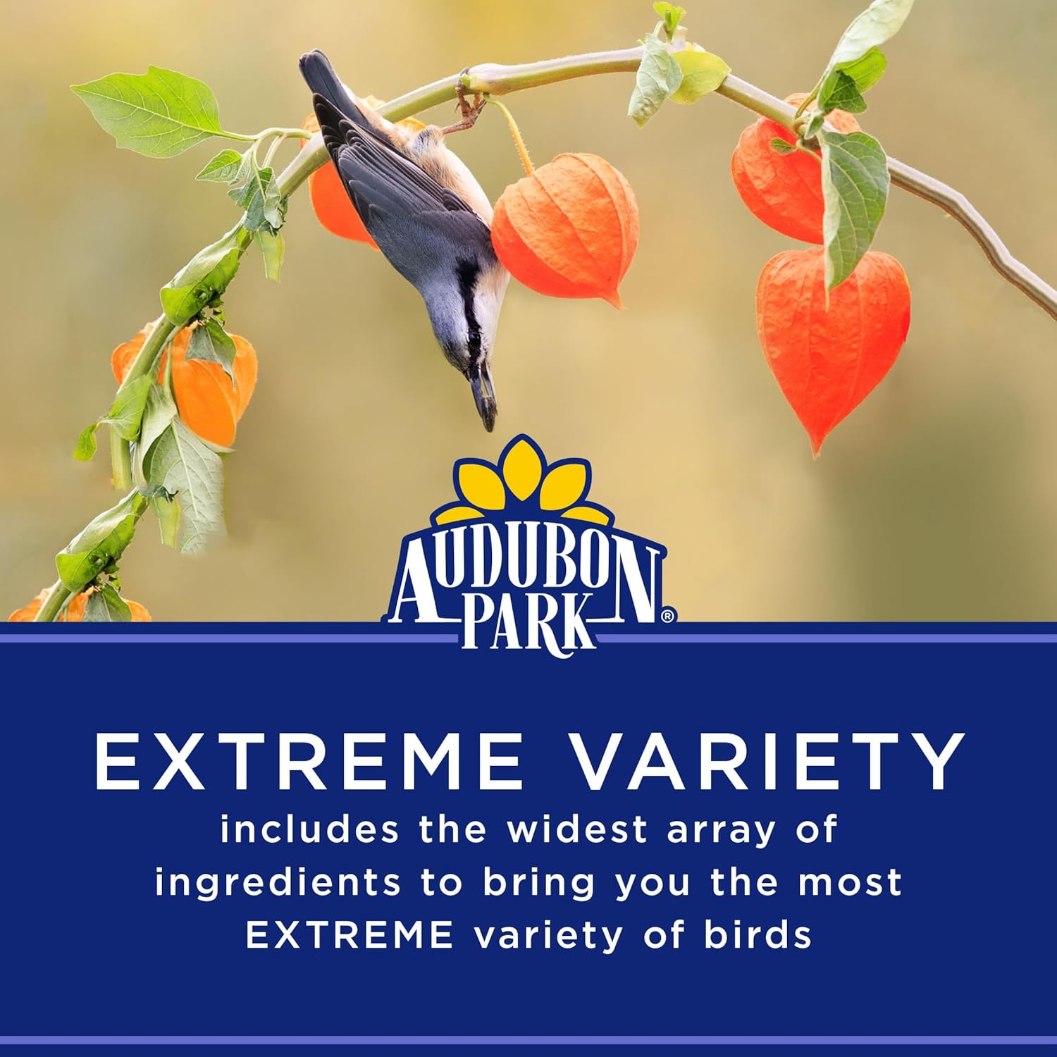 Audubon Park Wild Bird Seed - Extreme Variety for Outdoor Feeders | 15 lb Bag