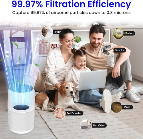 LEVOIT Core Mini Air Purifier Replacement Filter - 3-in-1 True HEPA & Activated Carbon | 2-Pack, White