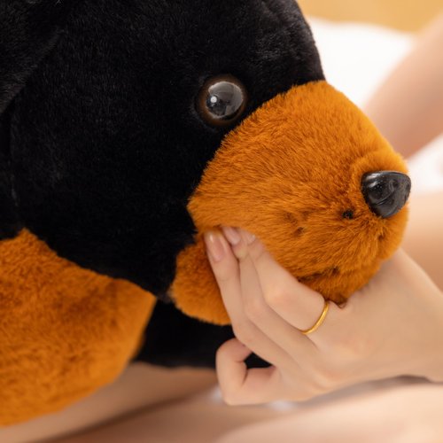 BABOLI Cuddly Dachshund Stuffed Animals Extremely Soft Plush Wiener Dog Pillow Super Cute Doxie Plushie Versatile Gifts for Birthday or Room Decor 20 Inches (S)