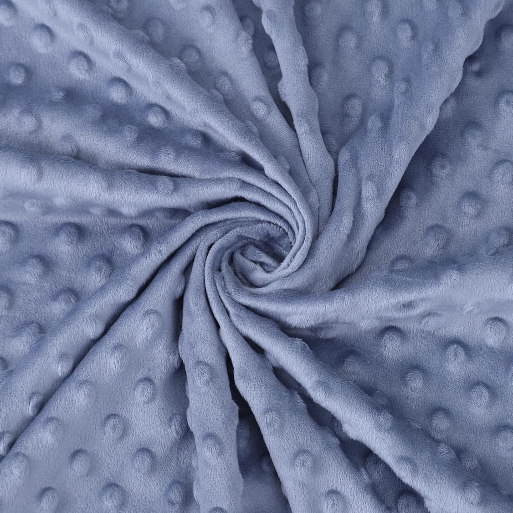 Skiennix Dinosaur Baby Blanket - Super Soft Double Layer Minky Nursery Throw (30" x 40") - Blue