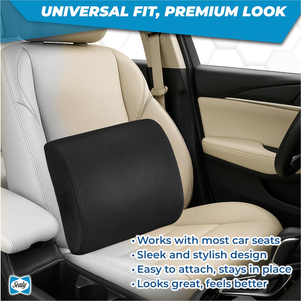 Sealy Lumbar Support Pillow for Office Chair and Car Seat - Lower Back Pain Relief, Memory Foam Lumbar Pillow & Back Brace Support Posture Corrector