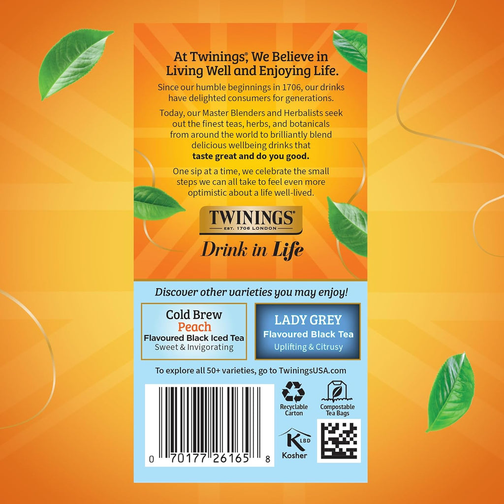 Twinings Cold Brew Iced Tea Bags - Unsweetened Black Tea, Caffeinated, 20 Count (Pack of 6)