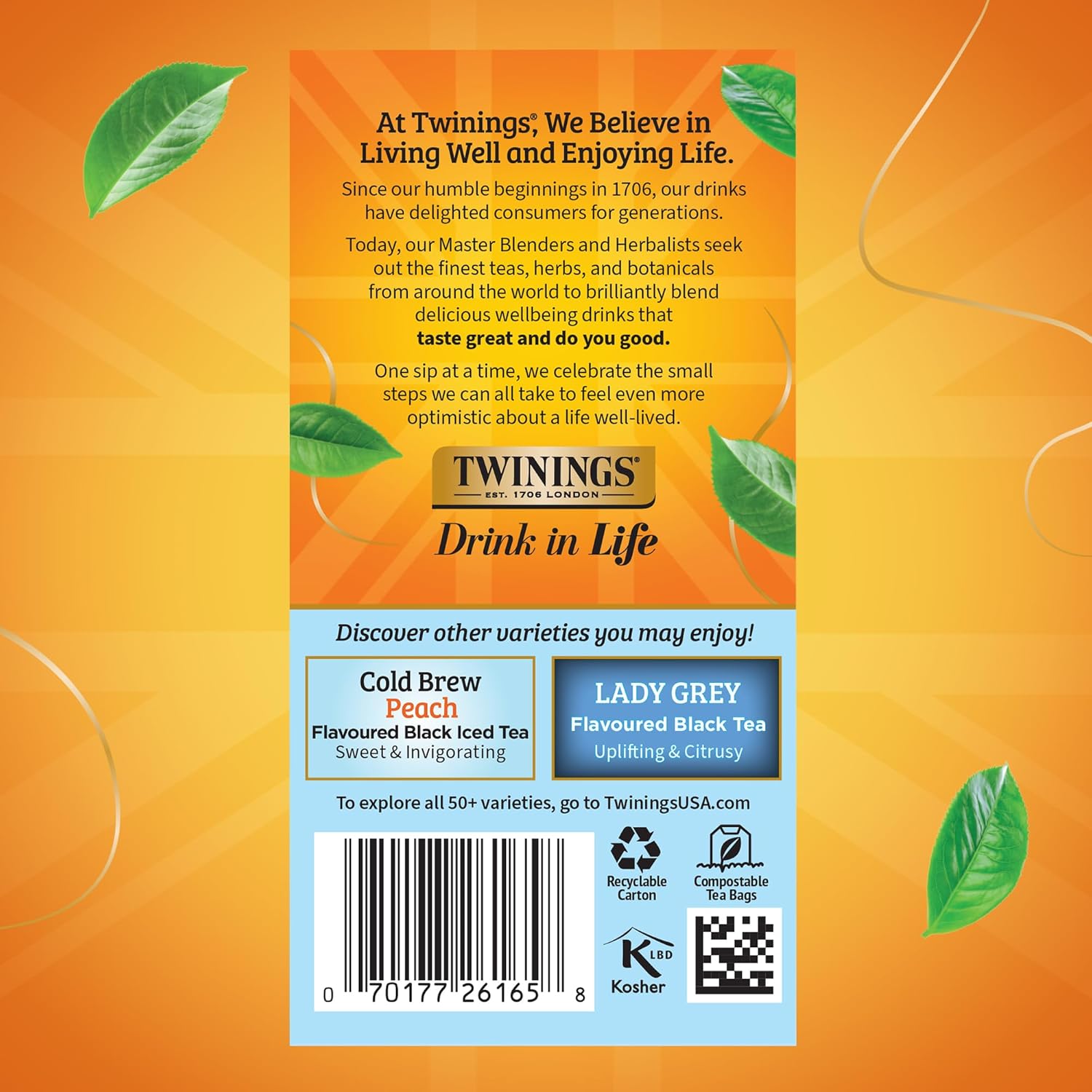 Twinings Cold Brew Iced Tea Bags - Unsweetened Black Tea, Caffeinated, 20 Count (Pack of 6)