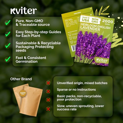 KVITER English Lavender Seeds - Heirloom Non-GMO Lavender (Lavandula Angustifolia) for Indoor & Outdoor Gardens | Organic Flower Seeds