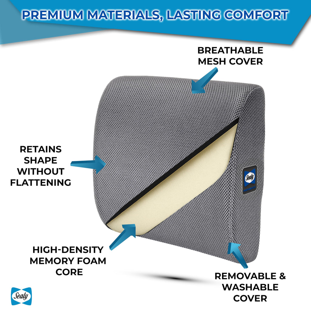 Sealy Ergonomic Lumbar Support Pillow for Office Chair and Car Seat - Memory Foam Back Support Lumbar Pillow, Premium Cushion Chair Support for Lower Back Pain Relief and Versatile Use (Gray)