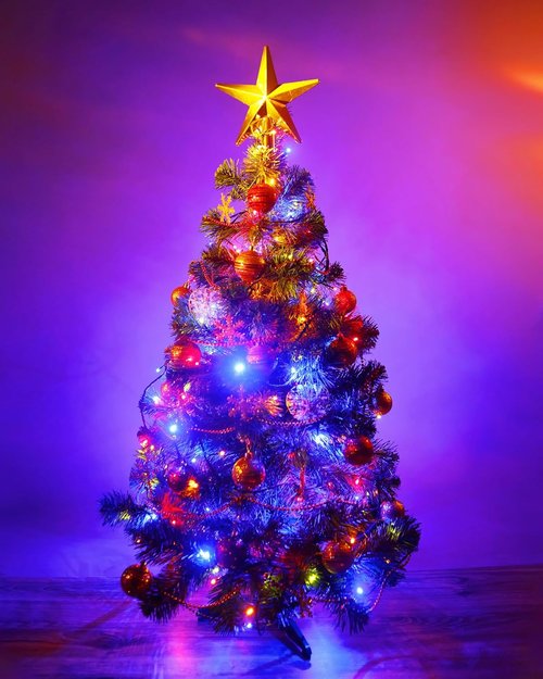 Fairy Lights - Battery Operated Twinkle String Lights | 5 Feet, 60 LED Waterproof Silver Wire for DIY Decor